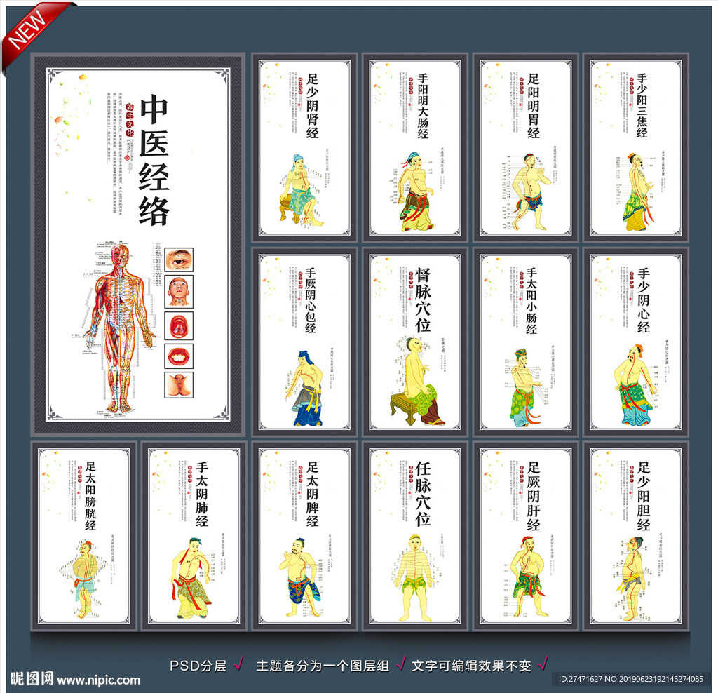 中医经络