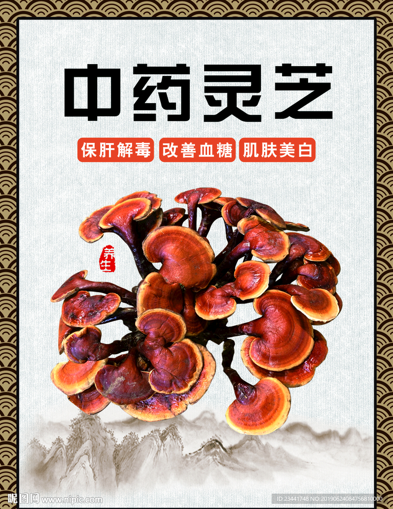 中药灵芝