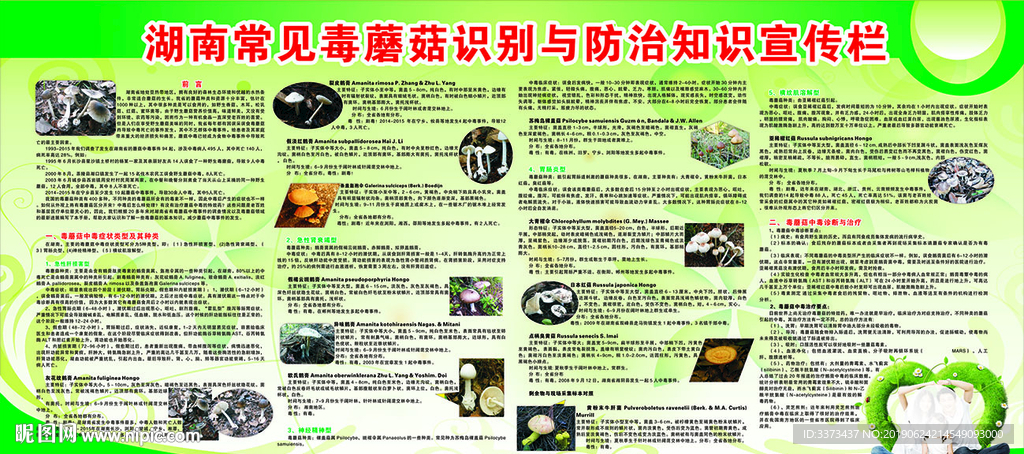 湖南省常见毒蘑菇与中毒防治