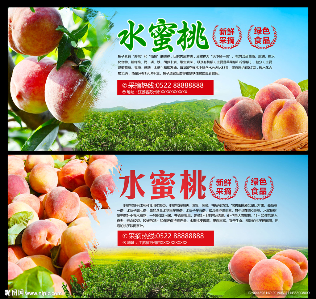 水蜜桃展板