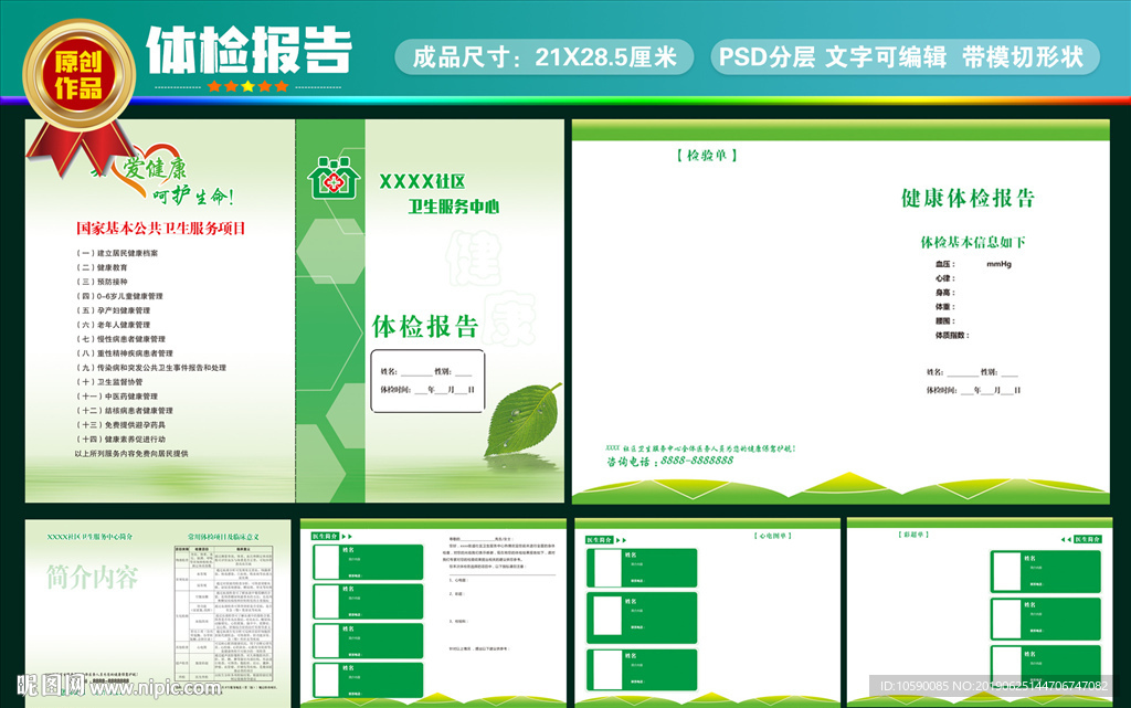 体检报告