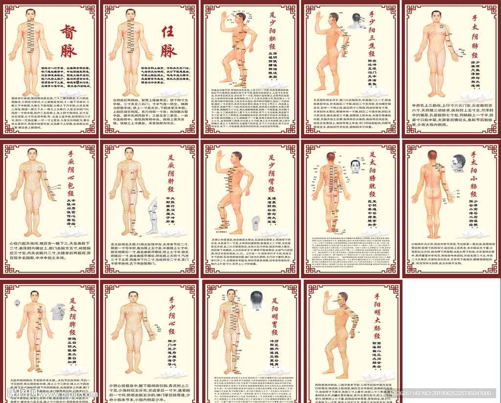十四条经络穴位图