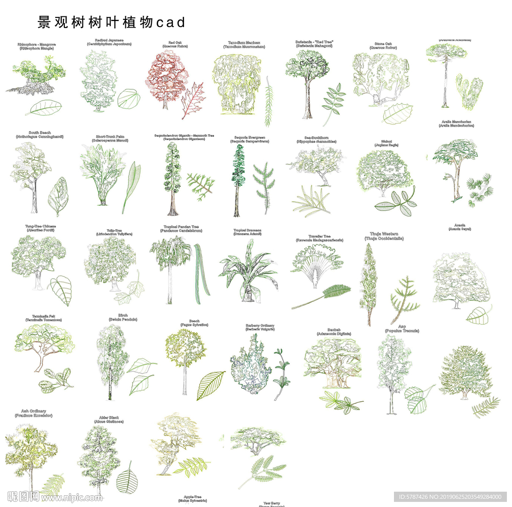 CAD树木植物图块