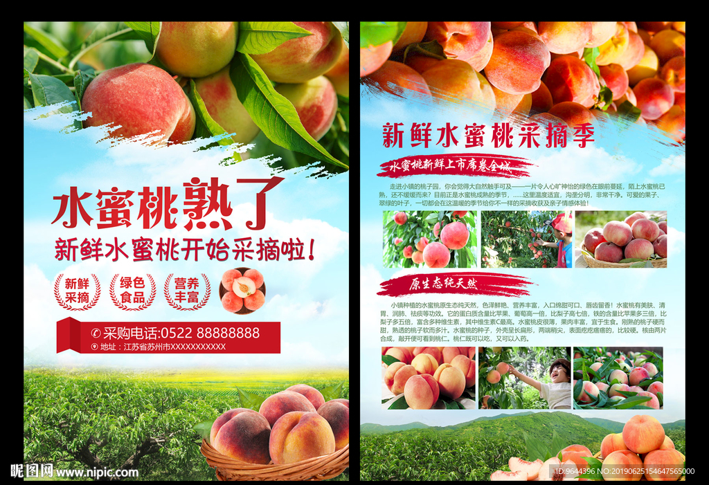 水蜜桃单页