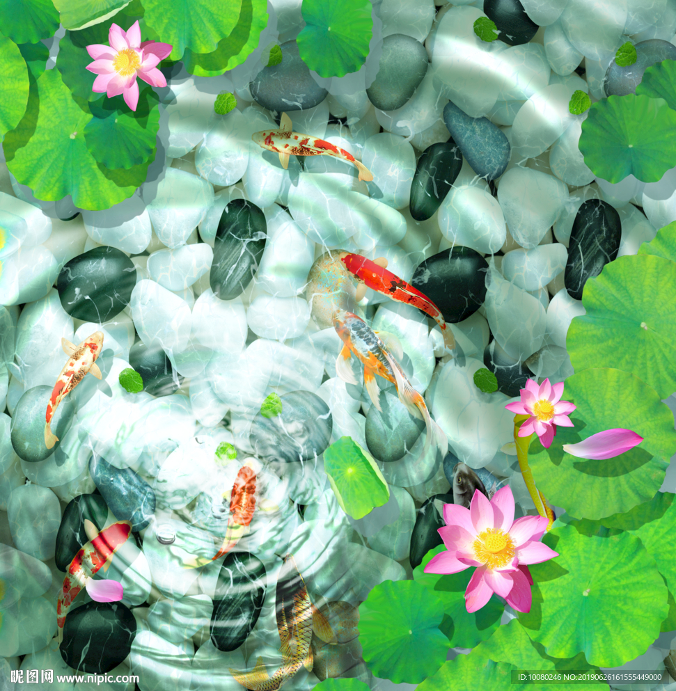 荷花池塘