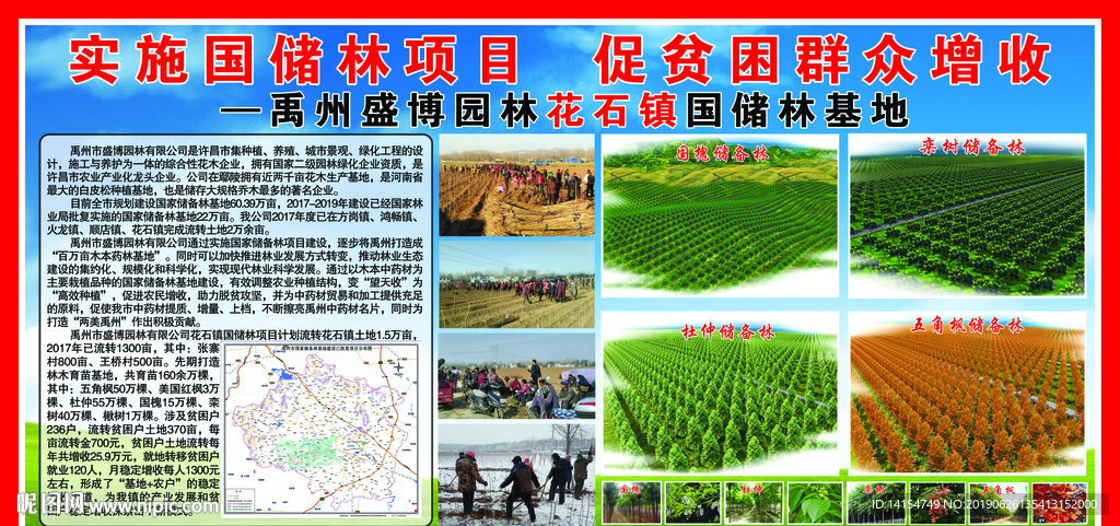 国储林基地