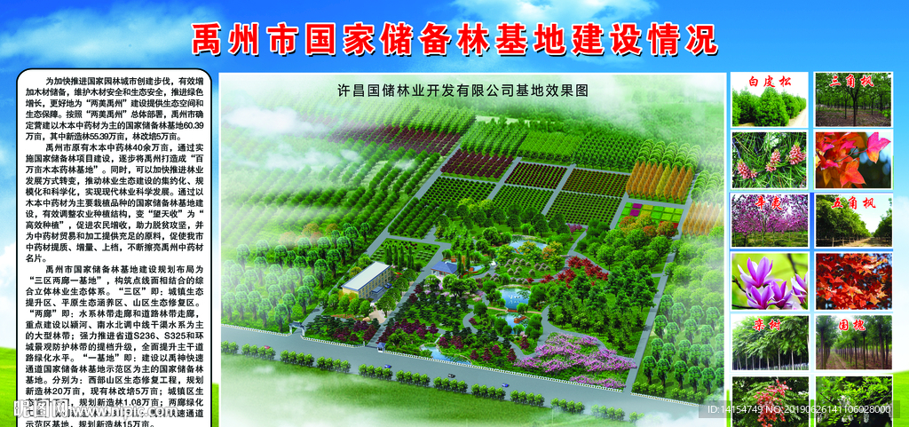 国家储备林
