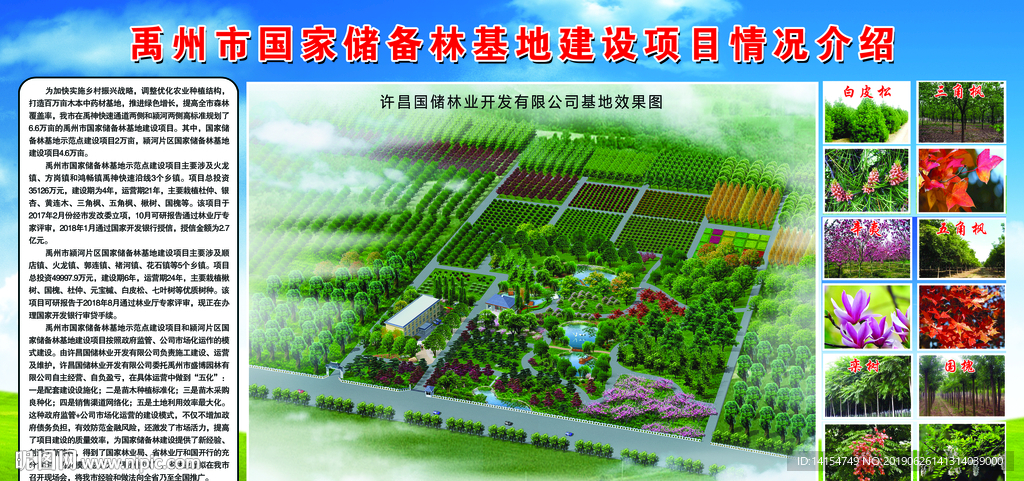 国家储备林基地