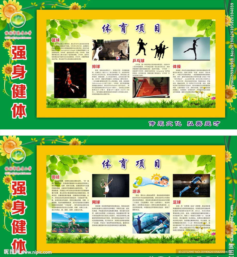 体育项目介绍