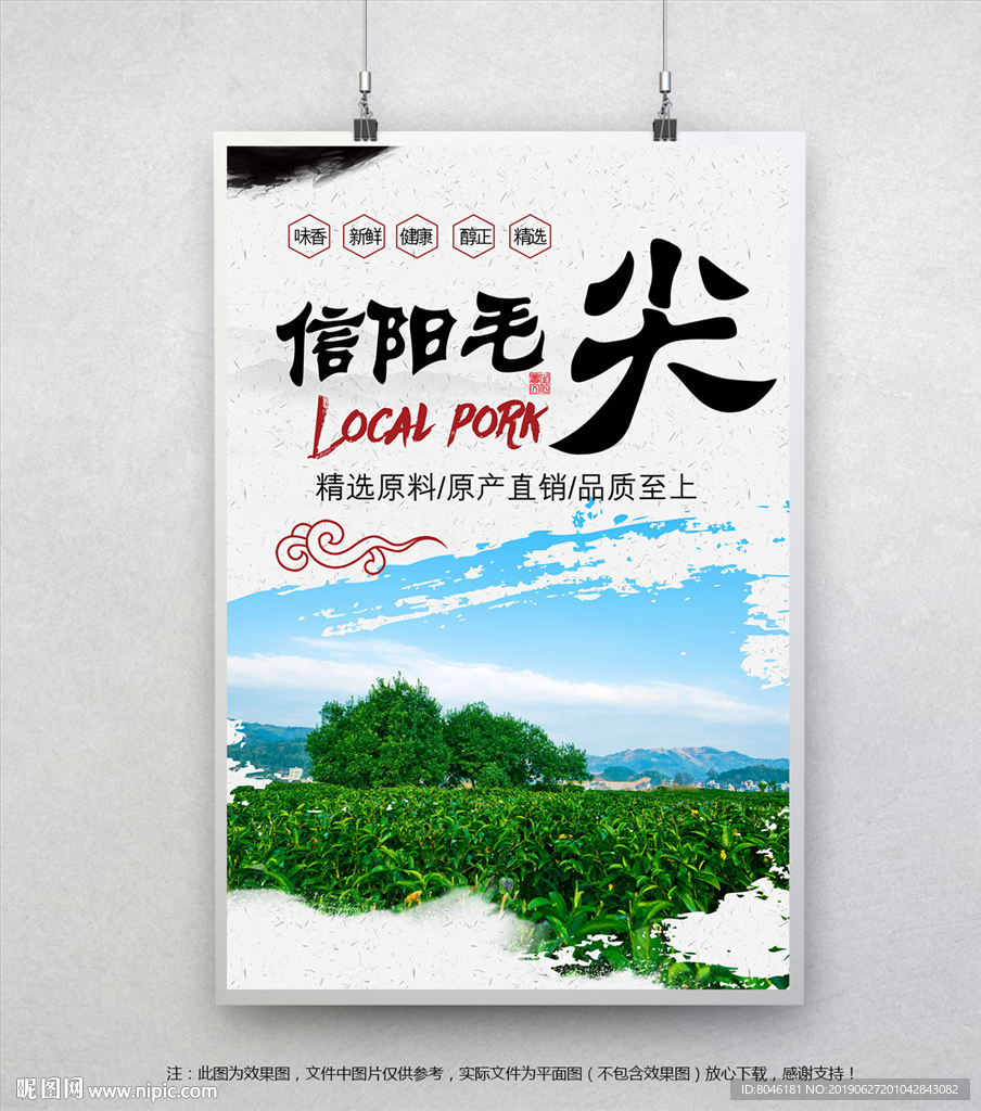 信阳毛尖