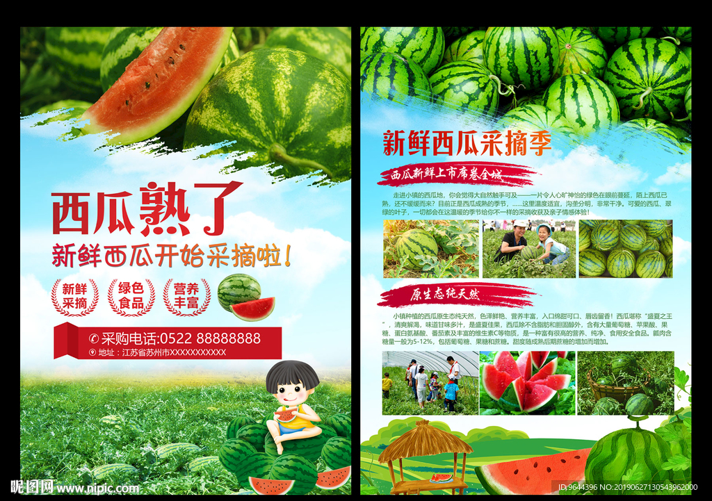 西瓜采摘单页