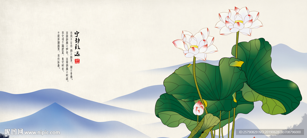 荷花