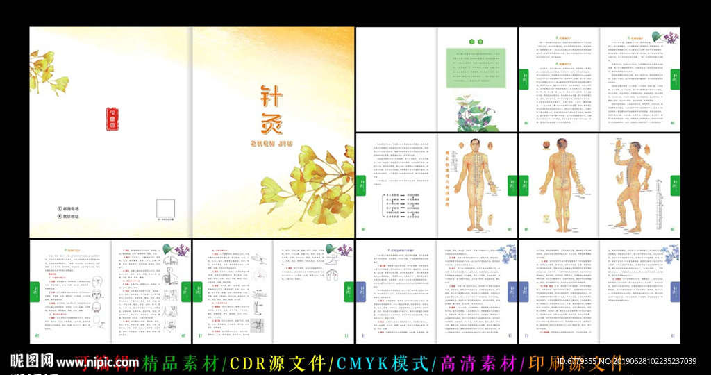 中医针灸宣传画册