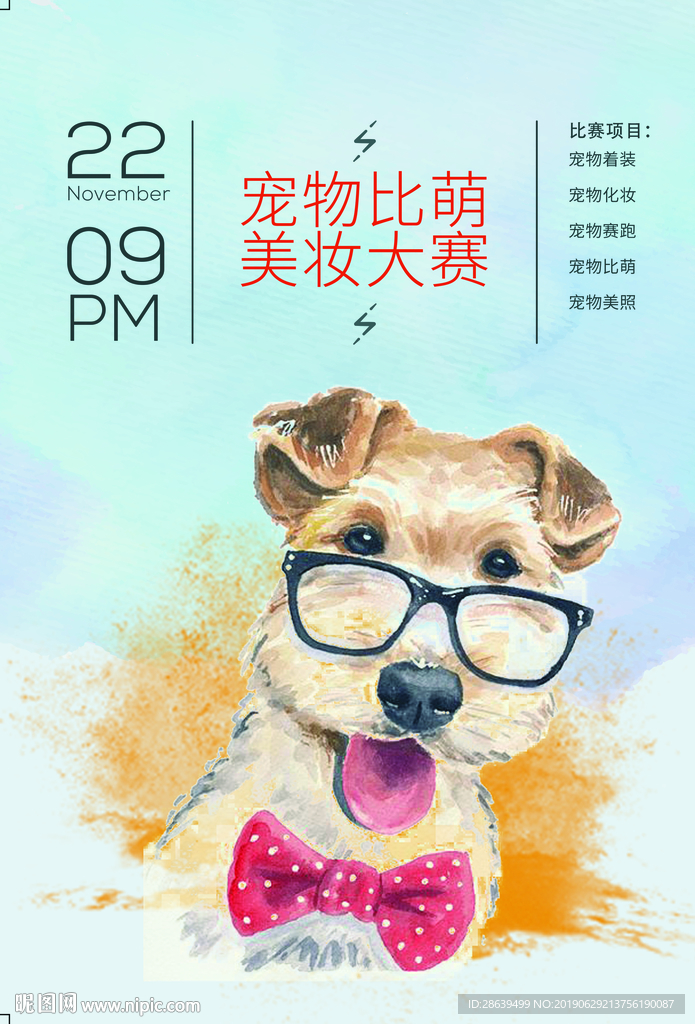 宠物