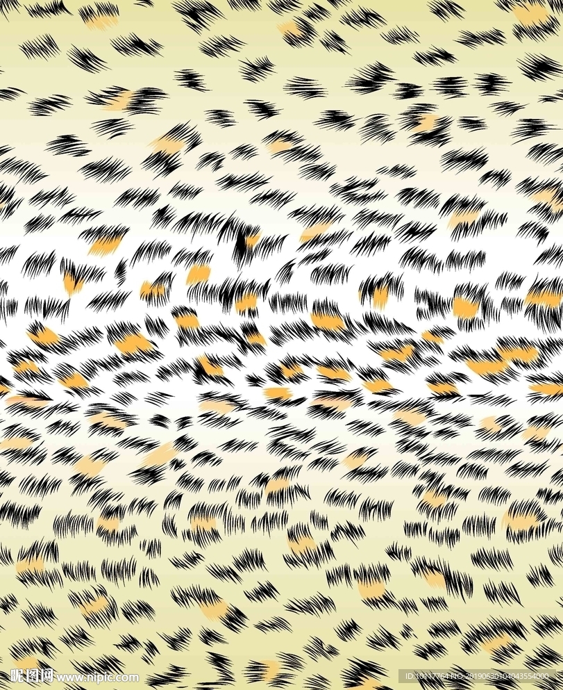 豹纹