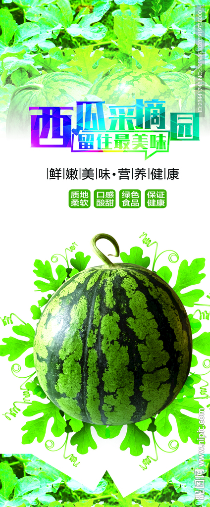 西瓜