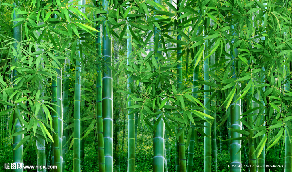 竹报平安竹林背景
