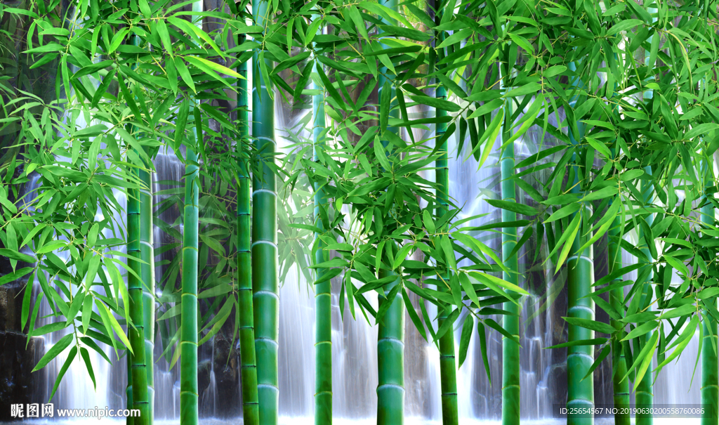 竹林流水背景