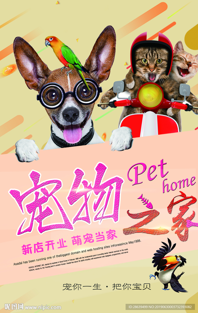 宠物之家