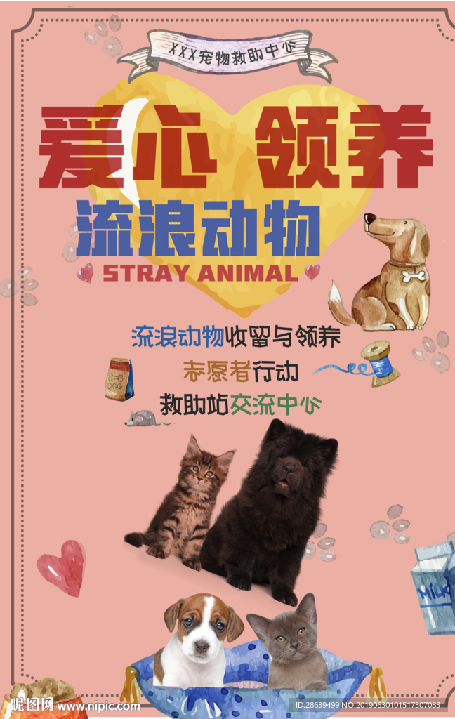 动物