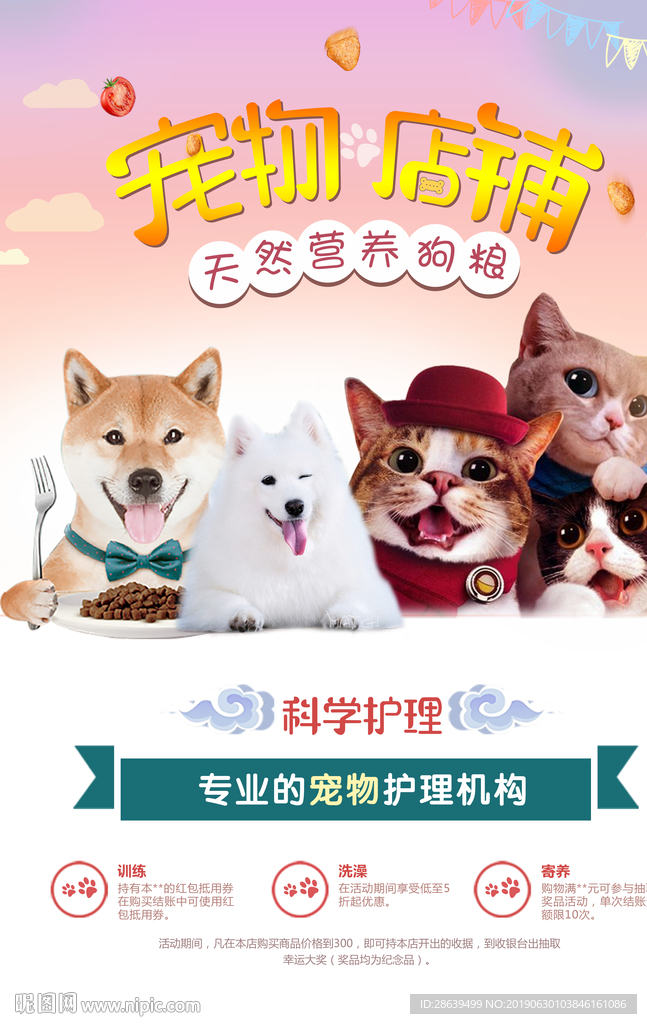 宠物