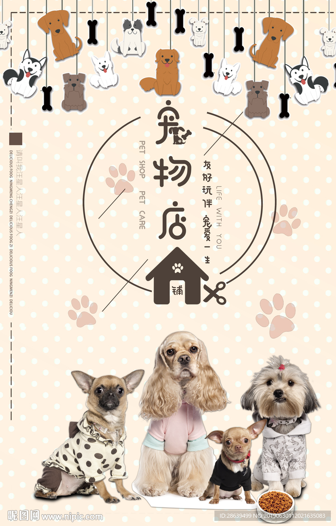 宠物