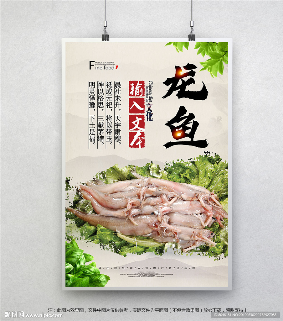 龙鱼