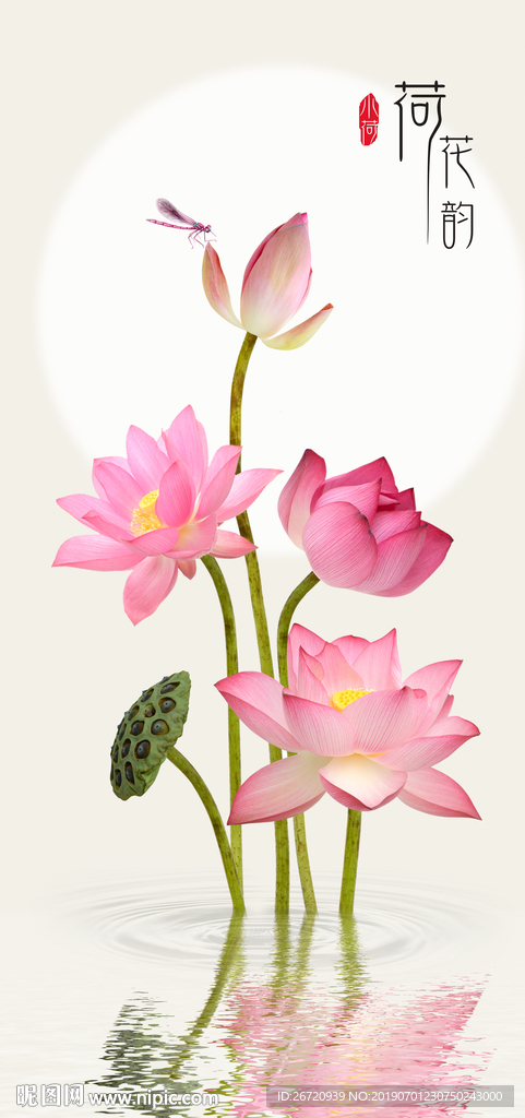 荷花韵