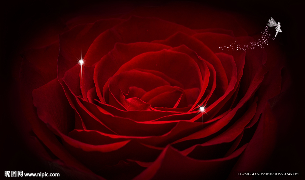 玖瑰KTV酒吧背景墙