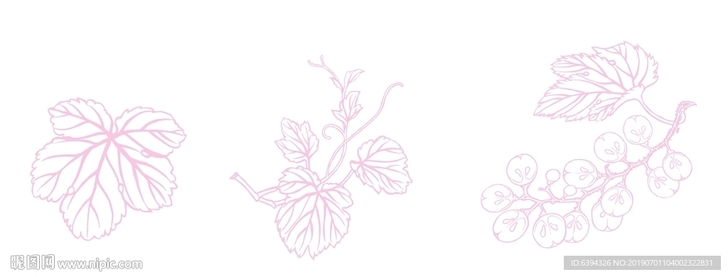 原创手绘葡萄矢量素材