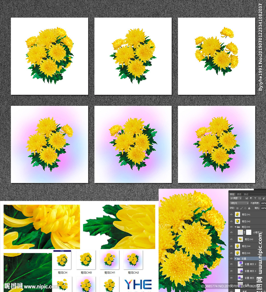 菊花