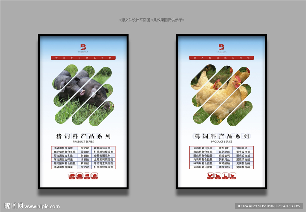 饲料
