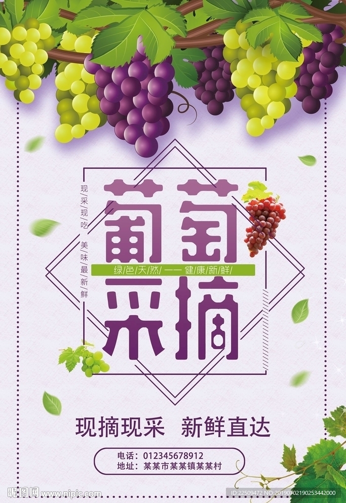 葡萄采摘海报