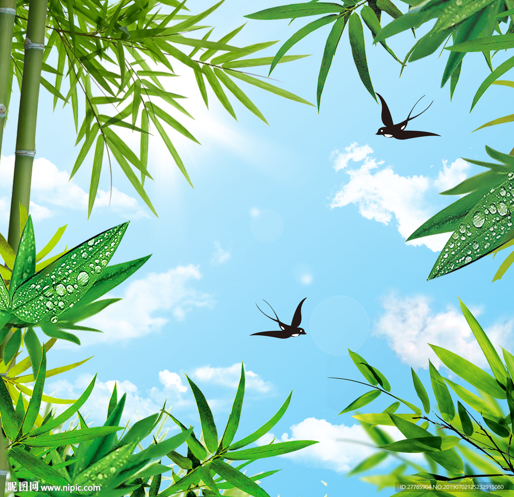 竹叶蓝天白云