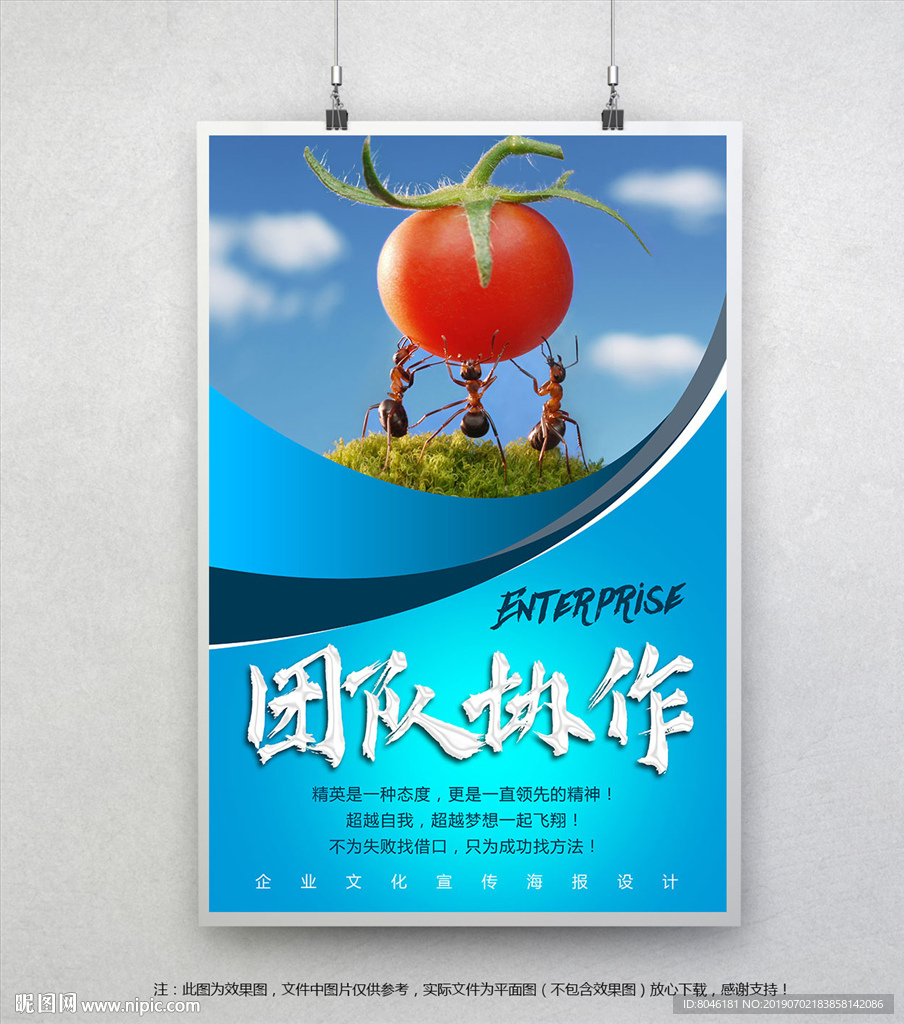 团队
