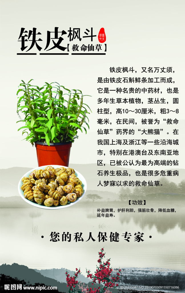 铁皮枫斗