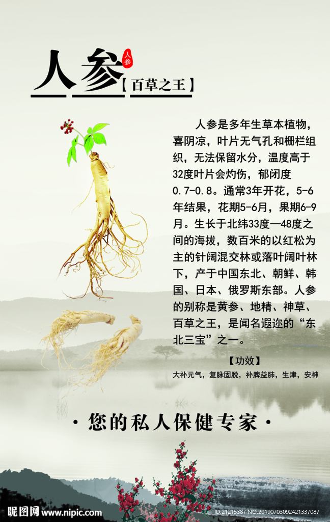 人参