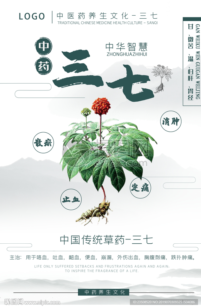 中药三七海报