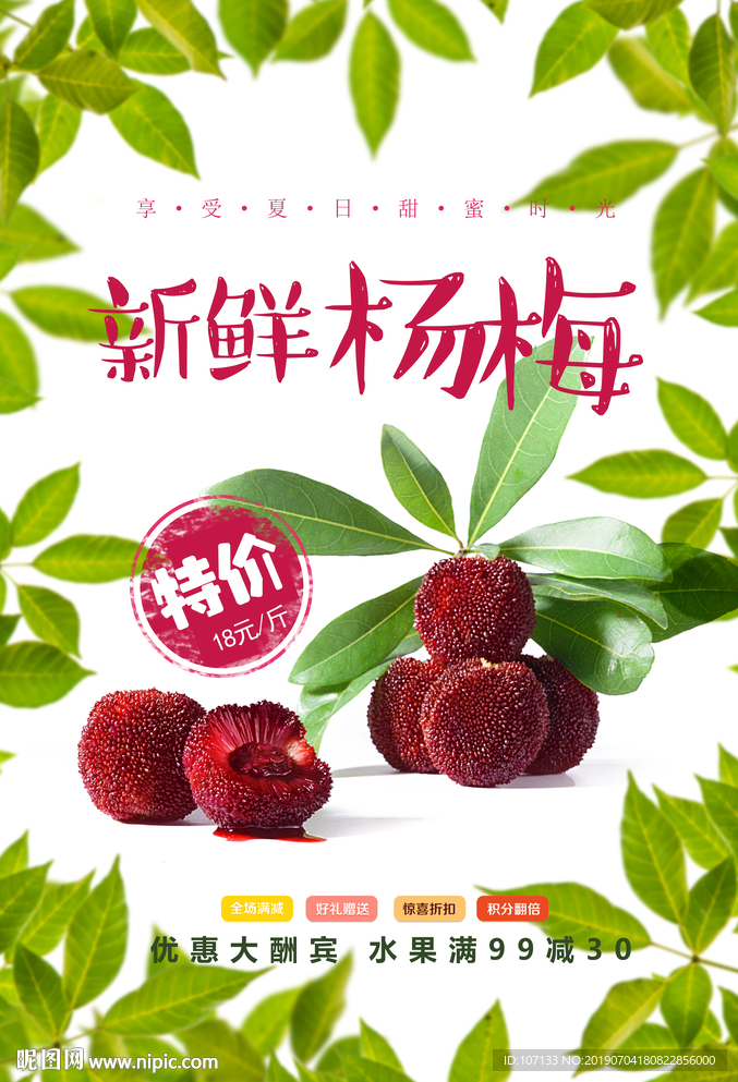 杨梅