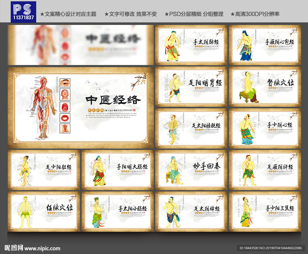 穴位图