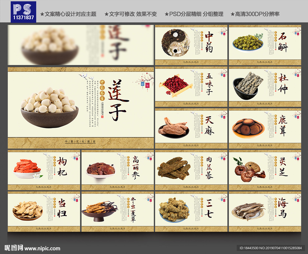 中药养生