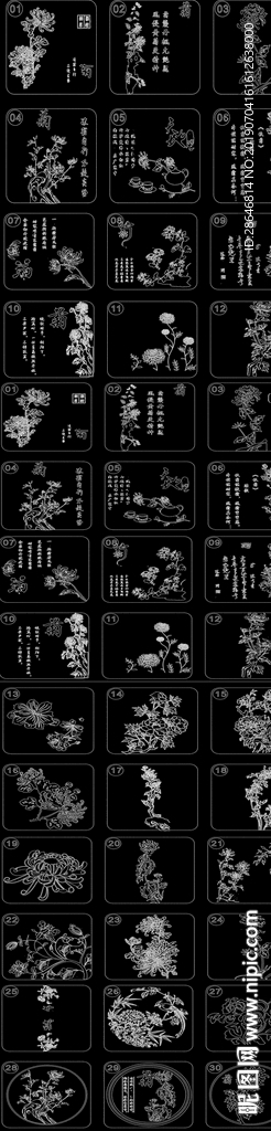 菊花 植物CAD图库