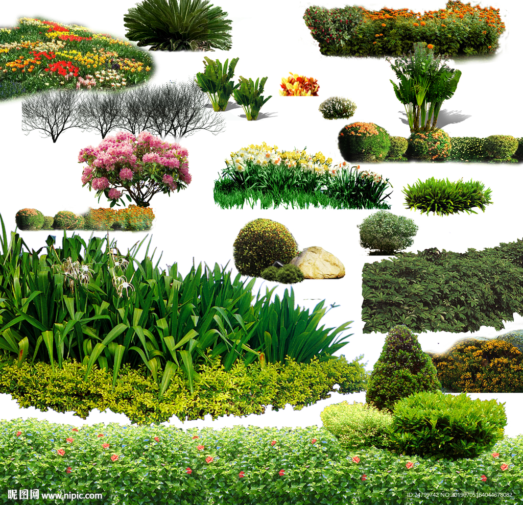 地被植物