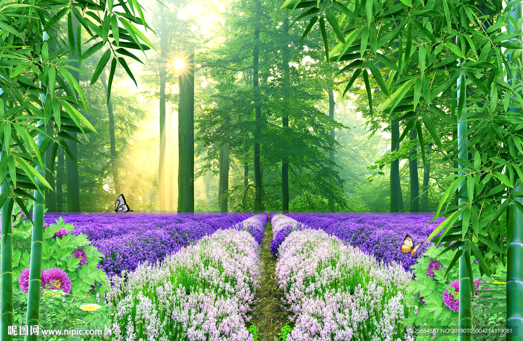 熏衣草树林背景