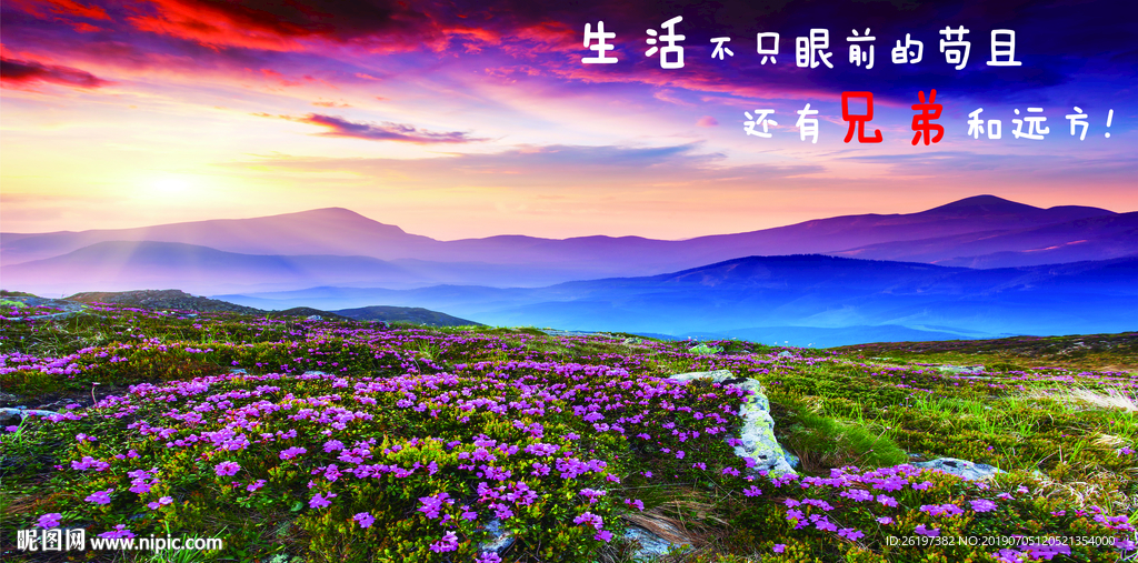 眼前的苟且