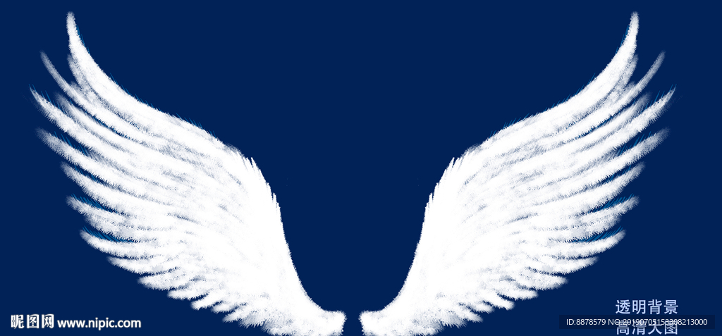 天使的翅膀