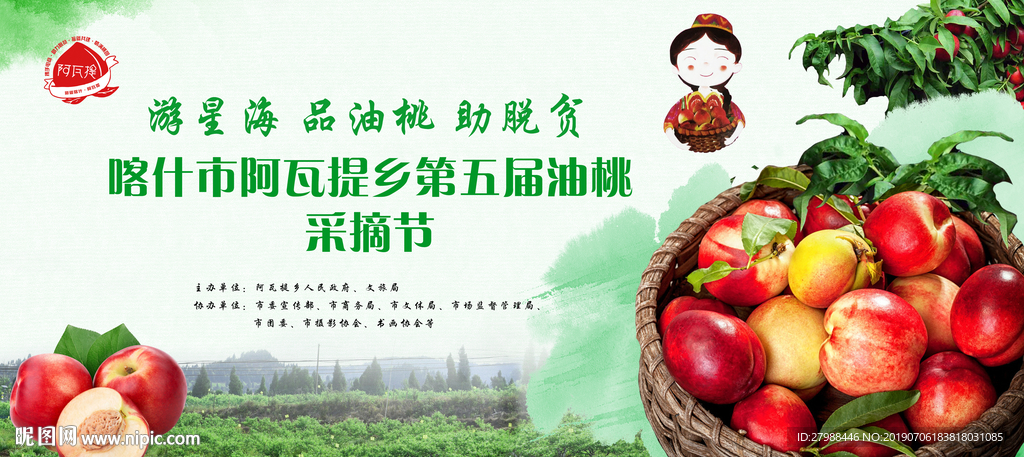 油桃采摘节