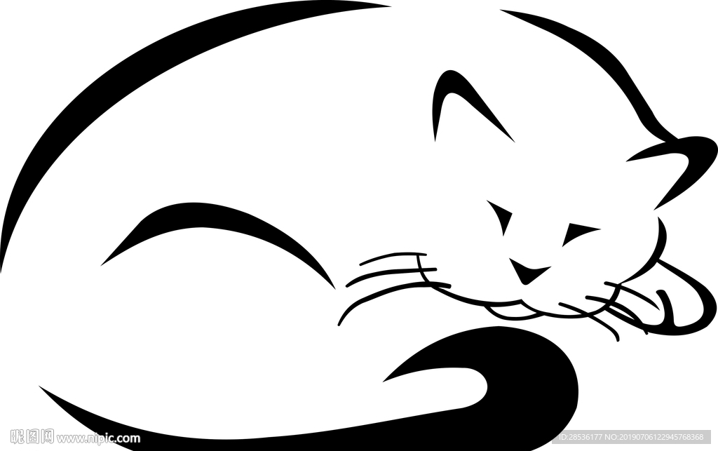 猫