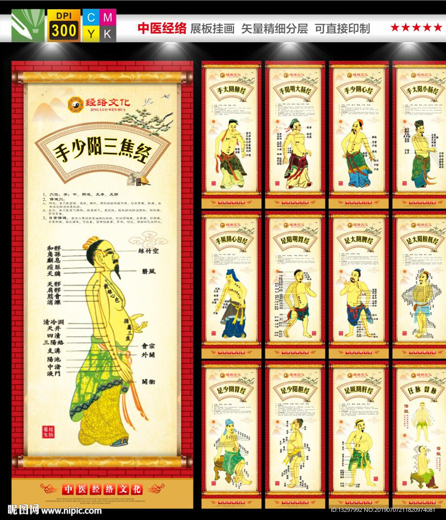 穴位图