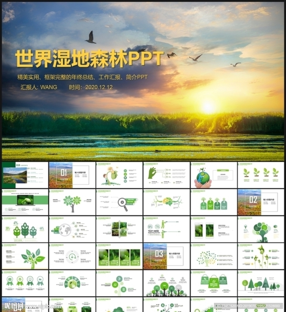 保护森林湿地PPT